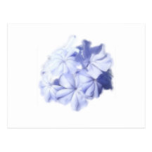 Blåa blommor vykort