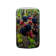 Blackberry boldfodral Case-Mate blackberry case