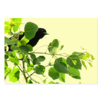 BlackbirdATC