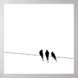 Blackbirds Silhouette binder på Posters