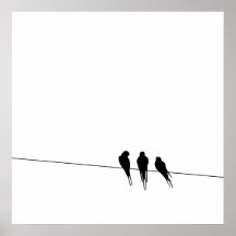 Blackbirds Silhouette binder på Posters