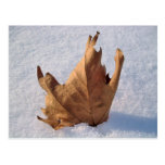 Blad i snön, när hösten möter vintern vykort