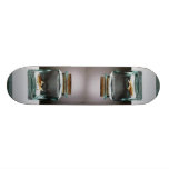 Blända guldfisk i burk skate boards