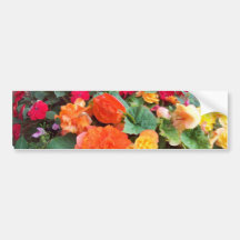 Blandad florabildekal