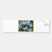 Blåttblomma Bildekal