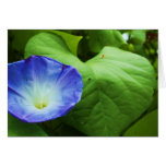 Blåttblomma Notecard Hälsnings Kort