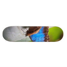 Blåttfjäril Skate Board