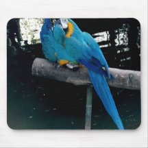 BlåttMacaw Musmatta
