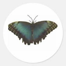 BlåttMorpho fjäril Rund Klistermärke