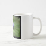 Blåttnäckros för blomma 058 kaffe mugg