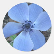 Blåttpelargonklistermärke