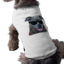 Blåttpitbull med exponeringsglas t-shirt för husdjur