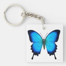 BlåttUlysses fjäril Keychain