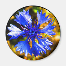 Blaue Blume Magnete