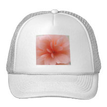 Blek - den rosa Begoniagåvan spänner Trucker Keps