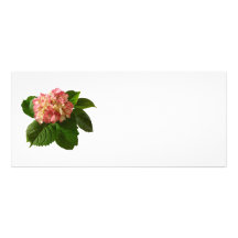 Blek persika- och krämvanlig hortensia personliga rack kort