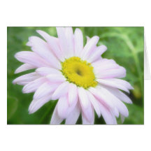 Blek - rosa målad daisy hälsningskort