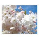 Blom- blommor för blommar för naturfotografitryck