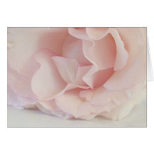 Blom- kort med en mjuk rosa ros