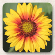 Blom- kustfartyg, ljus gul Gerber daisy Underlägg