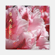 Blom- rosa Rhodies för BABEmagnetgåvor blommor Kylskåpsnagnet