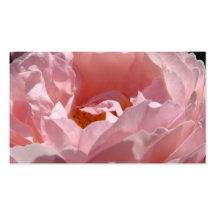 Blom- rosa rosblommavisitkortar