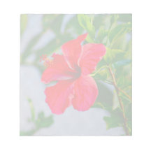 Blom- tryck för tropisk hibiskus memo notepad