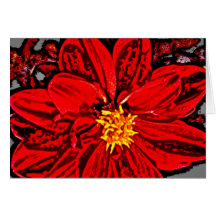 Blomma 17 kort