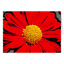 Blomma 21 kort
