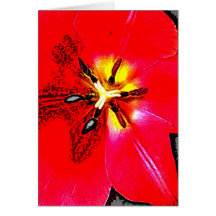 Blomma 26 kort