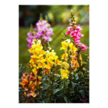 Blomma - Antirrhinum - nåd Anpassade Inbjudan