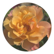 Blomma Runda Klistermärken