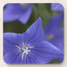 blomma blue.jpg underlägg