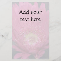 Blomma Gerberareklamblad Custom Flyer