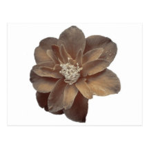 Blomma i sepia vykort