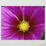 Blomma närbild flygblad