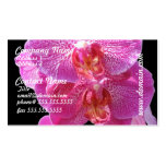 Blomma rosa Orchidsvisitkort