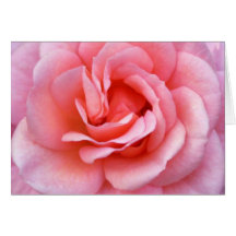 Blomma rosa ros Notecard Hälsningskort