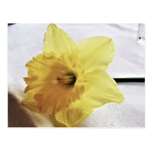 blomma som sovar vykort