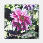 Blomma till folket magneter