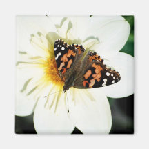 Blommafjärilen kvadrerar magnet - 1 kylskåps magneter