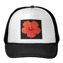 Blommahibiskus Baseball Hat