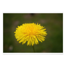 Blommainbjudan