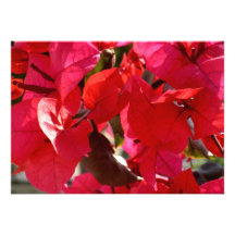 Blommainbjudningar