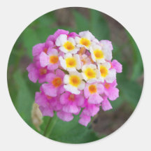 Blommaklistermärkear 01