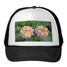BlommaLantana Trucker Keps