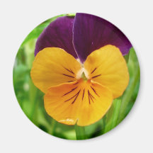 Blommamagnet Kylskåpmagneter