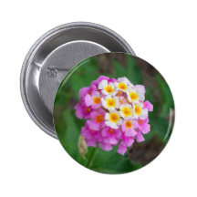Blomman knäppas 01 knappar med nål