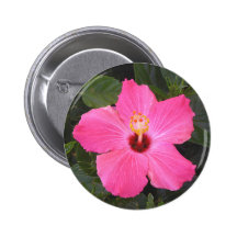 Blomman knäppas 02 nål