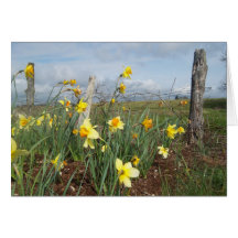 blommanotecard hälsningskort